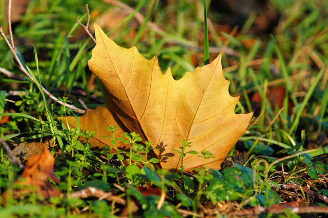 Unser Herbst-Tipp